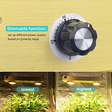 5sssallefaa Dimmable 200W COB LED Grow Light Full Spectrum with Timer for Indoor Greenhouse Plants Flowers All Stage Grow