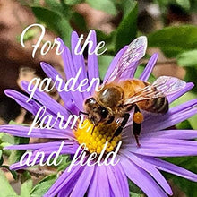 Mountain Valley Seed Co Midwestern Wildflower Seed 5 Lb 3 Million Seeds