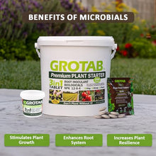 Envelor GROTAB 3-in-1 Plant Food Tablets 1500 Tabs Natural Fertilizer for Indoor Outdoor Plants