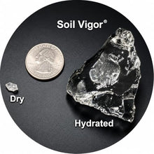 Potassium Super Absorbent Polymers: Moisture & Fertilizer Retention for Plants - Soil Vigor® SAP Water Storing Crystals | Reduce Watering & Fertilizer by 50% | For Gardens, Lawns & Indoor Plants 20 Lb