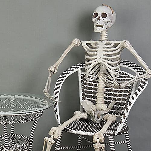 zhangzhejun Horror Skeleton Bones Halloween Props