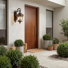 Kichler Tournai 24" 2 Light Outdoor Wall Light with Clear Seeded Glass in Londonderry
