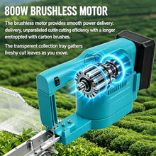 HiJiuAn 800w Hedge Trimmer, 11.8in Cutting Length, with 2 Batteries, Handheld Cordless Tea Harvesting Hedge Machine, for Gardening Modeling, Greening Pruning, Collecting Tea Leaves
