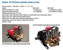 TYZK Electric Submersible Pump Garden Machine Water Pump, Three Cylinder Agricultural Piston Pump Head/High Pressure Spraying Plunger Pump Sump Pump (Color : 60 Automatic Relief)