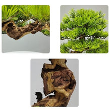 YXIANG56Q Fake Plants Faux Pine Plant with Ceramic Pot, Realistic Wood, Fake Potted for Office Home Decor Bonsai Tree