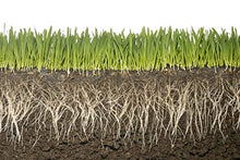 Soil Vigor Plant Survival Solution Without Water (45 Pounds) White