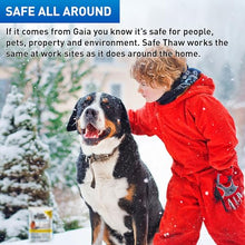 Safe Thaw 40 Pack Industrial Strength, Salt-Free Pet Safe Ice Melter, 43 lb