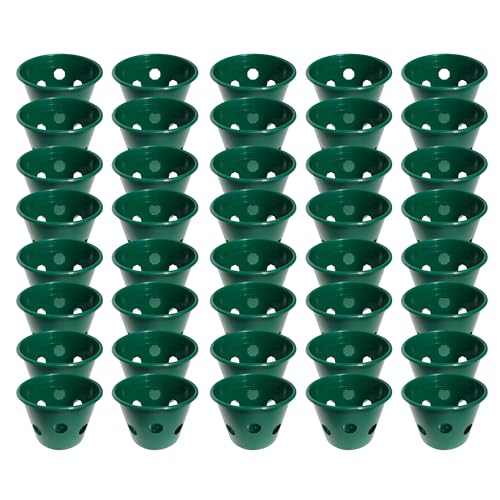 Mountain Valley Seed Co Bloom Master Hanging Baskets - 2 Gallon (48 Pack)