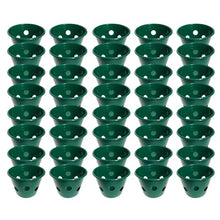 Mountain Valley Seed Co Bloom Master Hanging Baskets - 2 Gallon (48 Pack)