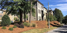 Long Needle Pine Straw Mulch - 2400 Sqft Coverage 4 Set - Premium USA Harvested PineStraw for Landscaping, Weed Control, Moisture Retention & Erosion Control - USA Pinestraw