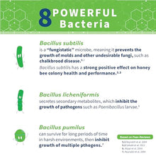 SuperDFM+P801 Probiotic Pesticide Protection Honey Bees, 5.5 lb, 500 Apps