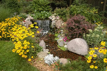 HALF OFF PONDS Simply Waterfalls 1200 GPH Pond Free Kit 5 x 10 Ft PVC Liner