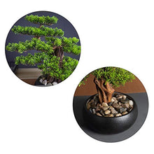 14.2in. Cedar Bonsai Plant Faux Bonsai Tree Simulation Potted Plant DIY Decorative Bonsai Pot for Home Office Shop House Plant