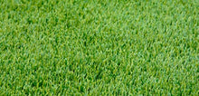 TLC Tall Fescue Grass Seed Blend (50 Lbs.)