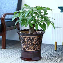 iumLeap Outdoor Indoor Garden Plant Pots Ceramic Flower Pot Home Coffee Table Desktop Decorative Flower Pot Chinese Vintage Flower Pot 12.5/13.7 Inches Plant Container Accessories