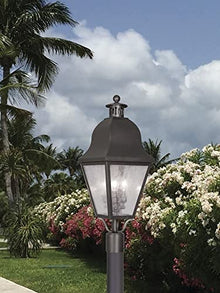 Livex 2556-01 Transitional Three Light Post-Top Lanterm from Amwell Collection Finish, 10.50 inches, Antique Brass