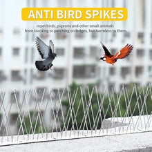 YINUK Bird Spikes, 0.5-10M 304 Stainless Steel Bird Spikes, Bird Repellent Spikes, Arrow Pigeon Spike Fence Kits for Deterring Birds, Crows and Cats(10M-20pcs)
