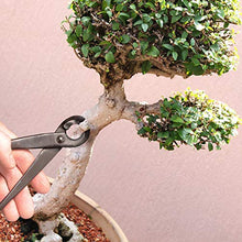 BambooMN Bonsai Tool Kit - 8" Concave Cutter & 8" Knob Cutter - 30 Sets