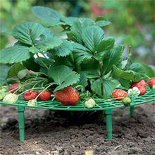 SIDUFHAOPKLL Strawberry Balcony Planting Rack Fruit Support Plant Flower Climbing Vine Pillar Gardening Stand