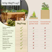 VegTrug Classic Raised Bed, Natural, Medium 1.8m - Cedar Wood V-Shaped Raised Garden Bed for Outdoor Gardening - Ergonomic Design for Balcony, Patio & Small Spaces