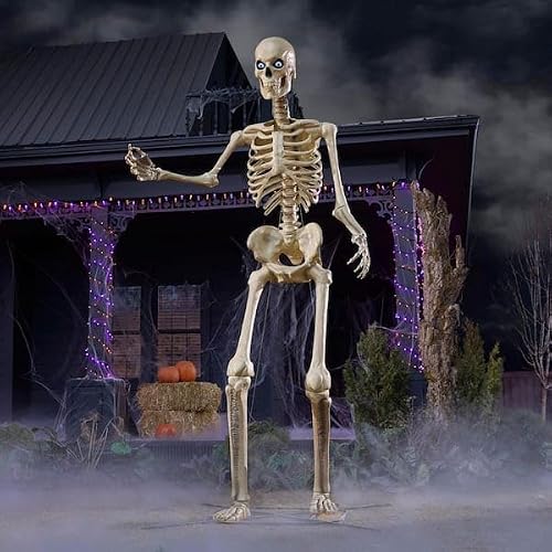 12 FT Giant-Sized Skelly Halloween Skeleton with LifeEyes LCD Eyes