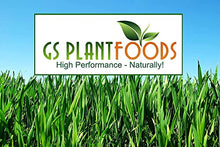 GS Plant Foods All Natural Root Ruckus Organic Liquid Compost 55 Gallon
