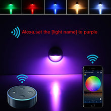 FVTLED LED Deck Lighting Kits, 30pcs WiFi Controller Φ1.97 Low Voltage LED Step Lights RGB Recessed Light Compatible with Alexa Google Home Smart Phone RGB Lamp, Bronze
