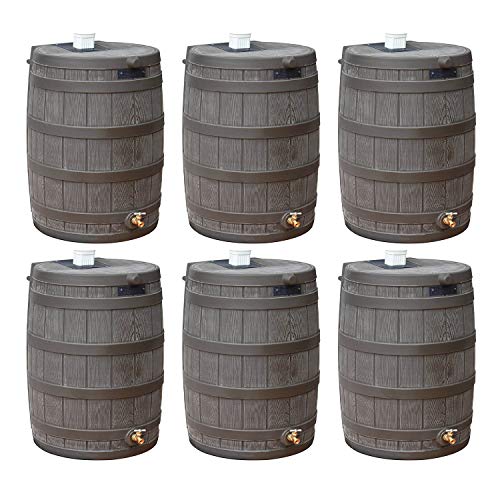 Good Ideas Rain Wizard 50 Gallon Plastic Rain Barrel Water Collector with Brass Spigot Brown