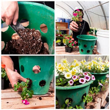 Mountain Valley Seed Co Bloom Master Hanging Baskets 4 Gallon 17 Pack Bulk