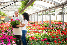 mistcooling Greenhouse Misting System - Automatic Humidification System - for Industrial and Greenhouse Humidification - (50 Ft - 10 Nozzle System)