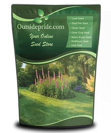 Outsidepride Sheeps Fine Fescue Grass Seed - 50 Lbs. Perennial, Pure Raw Seed w/ 0.00% Other Crop & Weed Seed