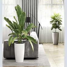 HIHELO Flower Pots Resin Plastic Flowerpot Garden Art Vase Plant Stand Automatic Water-Absorbing Flowerpot Home Flowerpot Plant Pots (Color : K)