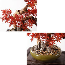 YXIANG56Q Fake Plants Artificial Bonsai Tree 17 Inches Artificial Plant Japanese Maple Trees Zen Garden Decoration Ornaments for Home Office Desktop Decor Indoor Bonsai Tree
