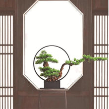 AFPSDLFJDLS Bonsai Luohan Pine Green Plant Porch Floor Sales Office Villa Model Room Decoration