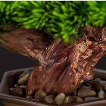 Small Bonsai Tree Simulation Bonsai Simulation Pine Bonsai Plant Decoration Porch Study Living Room Decoration Ornaments Fake Bonsai Fake Plants (Color : A)