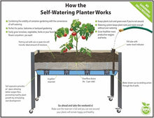 Self-Watering Raised Garden Bed (21" x 47" x 32"H) - Container Gardening with The Convenience of a Self-Watering Irrigation System. Includes Greenhouse & Bug Cover. Made in Canada.