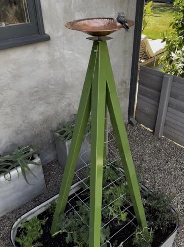 Modern Birdbath with Obelisk Trellis (Fern, Regular)
