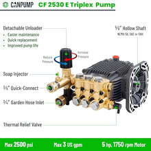 Canpump CF 2530 E: 2500 psi @ 3.0 US gpm, 5/8 in Shaft Pressure Washer Pump
