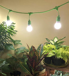 SmokePhonics 609573 4-Socket Corded Indoor Greenhouse Kit with 4 Full Spectrum Daylight Grow Lights Replacing 150W Each (8-Pack), 8 6ft Strings, 32 Bulbs
