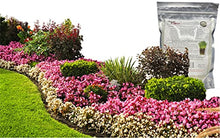 Soil Vigor Potassium Polyacrylate for Garden 45 White
