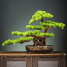 YXIANG56Q Fake Plants Artificial Bonsai Tree, Fake Plants Potted Tree Artificial Bonsai Tree Decoration for Home Desk Office Bathroom Kitchen Farmhouse Indoor/Outdoor Bonsai Tree
