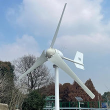 2000W Wind Turbine 12V 24V 48V Horizontal Wind Generator with Hybrid MPPT Controller for Home Use Free Energy Windmill (24V With Hybrid Controller)