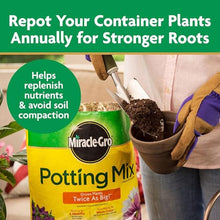 Miracle-Gro 10 Pack Potting Soil Mix for Container Plants and Flowers