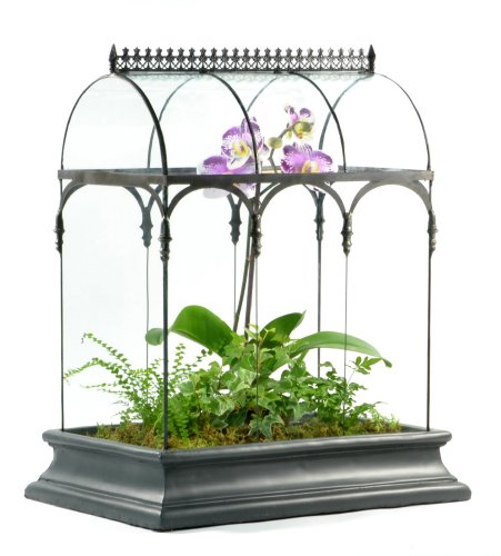 H Potter Large Glass Terrarium 22 Inch Tall, Curved Glass Wardian Case Planter with Resin Base, Indoor Display for Orchids Ferns Succulents, Removable Top