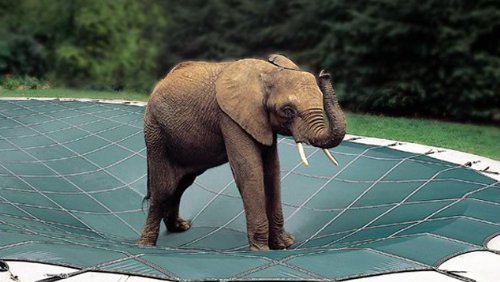 Loop Loc Safety Pool Cover - 15' x 34' - Rectangle