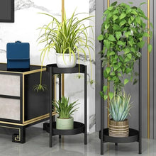 2 Tier Stand for Indoor Outdoor, Plant Stand Indoor Outdoor Metal Plant Rack Organizer Plant Rack,Display Shelf Racks for Home Garden Office