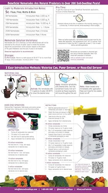Beneficial Nematodes Steinernema carpocapsae SC - Biological Flea Control (500 Million)