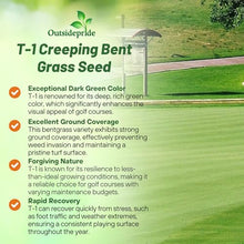 Outsidepride T-1 Creeping Bentgrass Seed - 25 lbs Fine-Bladed, Premium Quality Turf, Grass Seed for Smooth Surface, & High-Traffic Areas, Ideal Grass for Golf Courses Putting Greens, & Fairways