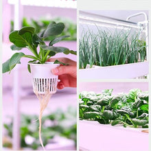 FLTRGO Hydroponic Growing System, 4 Layer Indoor Planting Kit, with Automated LED Grow Lights, 64 Seeding Sites, Water Pump, Vertical Hydroponic Tower Shelf