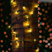 Novelty Lights Coaxial 24 Pack 25 Feet 50 Warm White LED Christmas String, Commercial Grade Green Wire, Waterproof Connections, Modular Product Line, Connect 43 Sets